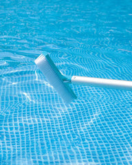 Pool Wall Brush