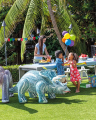 Jurassic Dino Pals - Brontosaurus and Triceratops Assorted