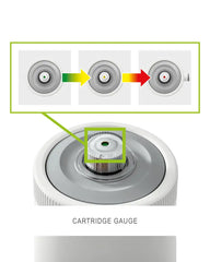C2500 Krystal Clear Cartridge Filter Pump